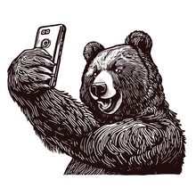 Funny Bear Taking A Selfie Sketch
