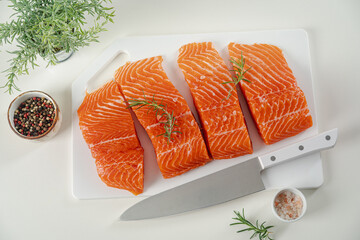 Sticker - Raw salmon fish fillet