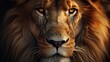 © Marcus - African Lion Portrait