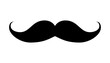 Mustache illustration, icon. Vector moustache.