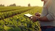 Modern Technology in Agriculture: Agronomist Utilizing Tablet for Agricultural Analysis.