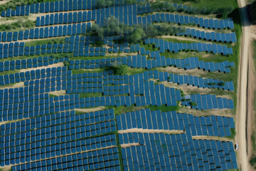 Wall Mural - solar panels plant, aerial view - rows of photovoltaic cell collectors on a landscape. green energy 