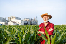 Portrait Of Proud Farmer Standing In Corn Field With Silos In Background.