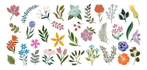 Wall Mural - Set of hand drawn floral design elements, abstract shapes. Wild and garden flowers, leaves. Contemporary modern vector botanical art illustrations in trendy colors isolated on transparent background.