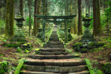 Torii Gate In The Forest Near Kumamoto, Japan