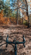 Vertical point of view of handle bars of the bike among the colorful autumn forest trees
