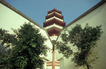 Wall Mural - ASIA CHINA HONGKONG TOUSEND BUDDHAS MONASTERY