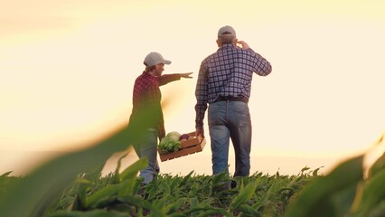 joint family business sun, two farmers carry box vegetables across farm field sunset, farming vegeta