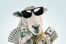 Cool funny hipster rich sheep boss with trendy glasses holds money dollars on a light blue background. Success, business and profit, creative idea. Successful startup leader, concept
