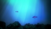 Underwater Background Animation With Fish