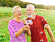 © Lumos sp - woman man outdoor senior couple happy fun retirement together bubble soap blowing love old nature mature