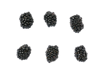 fresh blackberries on transparent background