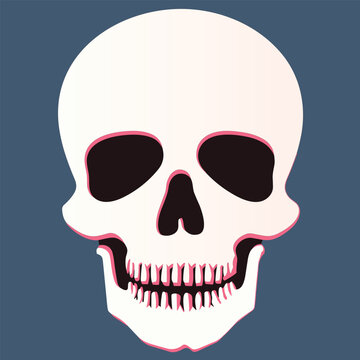 human skull vector illustration isolated on blue background, skull and background on separate layers