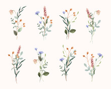 Wildflower Watercolor Bouquet Collection
