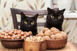Cat and nut, food. Two black beautiful bombay cats portrait with different nuts on plate on kitchen table. Vegan, vegetarian, diet food concept