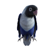 Sticker - parrot isolated on white