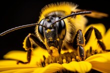 A Detailed Macro Shot Of A Bee On A Yellow Daisy. Generative AI
