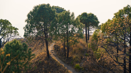 Canvas Print - Scenic landscape of Kasauli, Gilbert trail also known as sunset point