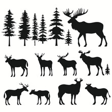 Moose Silhouettes And Icons. Black Flat Color Simple Elegant Squirrel Monkey Animal Vector And Illustration.