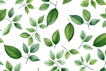 Wall Mural - green leaves on white background
