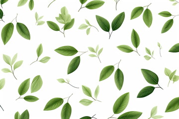 Wall Mural - green leaves on white background