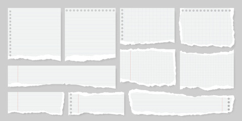 Wall Mural - Set of torn or ripped notebook paper with line, grid, dot and margin. Split note, scrap page and newspaper tear with edges for abstract banner background. Social media grunge label or scrapbook strip.