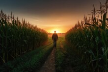 Farmer Walking Through Corn Field At Dawn Grain Silo, Generative AI