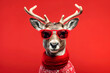 © Heart in pictures - reindeer with glasses on red background in christmas costume