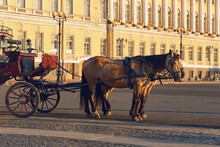 A Cart Drawn By Two Old Nags Is Waiting For Tourists In The City Square. A Walk Around The City On A Stagecoach.