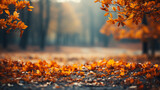 Fototapeta Natura - A photo of a beautiful autumn forest landscape with autumn yellow leaves, postcard