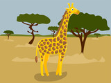 Fototapeta Zwierzęta - Illustration of a cartoon giraffe in the safari, desert. Savannah with a funny giraffe. Giraffe in his usual place of residence. Children's illustration, printing for children's books