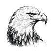 Sketch eagle  hand drawn vector illustration
