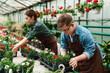 © Drobot Dean - Woman gardener and young man employee with down syndrome working in greenhouse