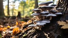 Group Of Mushroom Grown Under Tree, Generative Ai