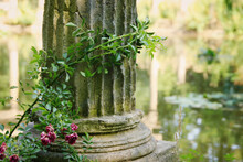 Architecture Detail In An Park, Old Pillars With Flowers. Abandoned Old Castle
