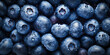 Fresh blueberries fruit background image. Generative AI graphic
