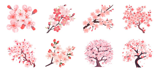 cherry blossom sakura flower, tree, branch and petals hand drawn illustration set