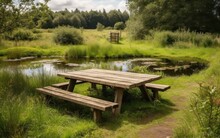Picnic Area In A Meadow Next To A Wildlife Pond With A Wooden Platform. AI Generative