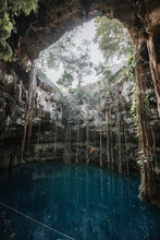 View Of A Man Diving In The Amazing Scenery Of San Lorenzo Oxman Cenote In Valladolid, Yucatàn, Mexico.