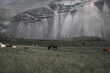 © Travel 'n' Lifestyle - View of horses below a massive rock wall in the valley, Iceland.
