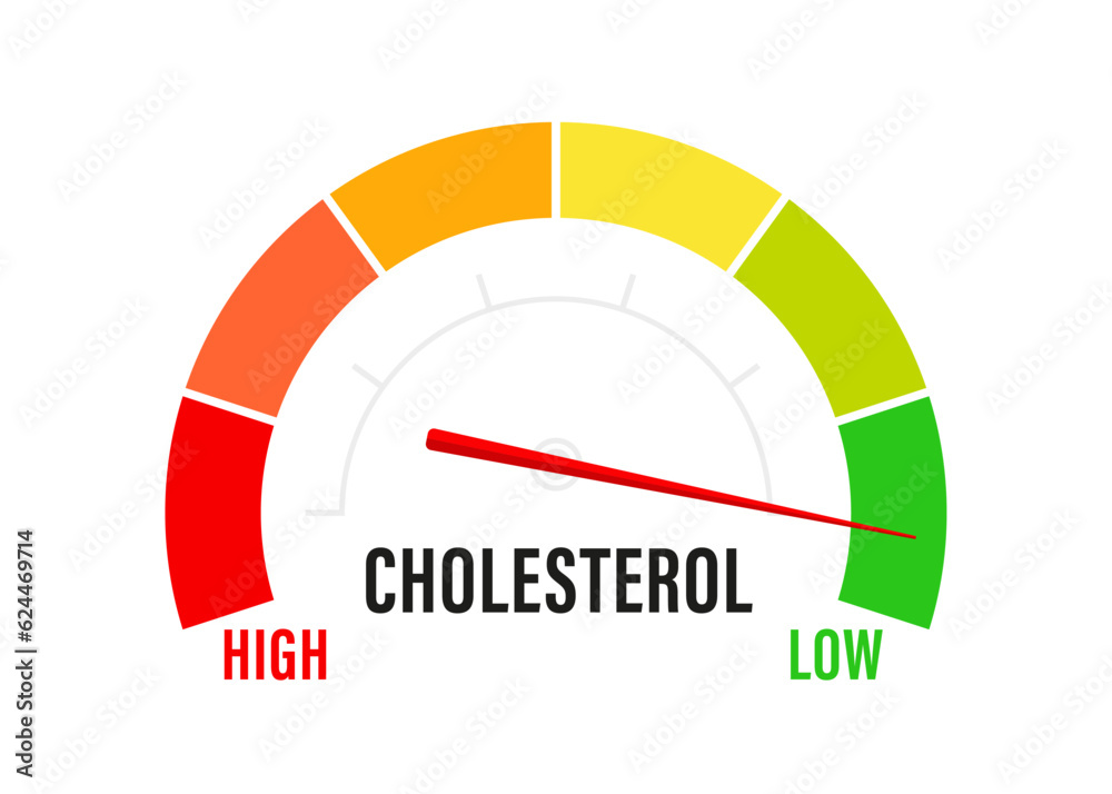 Cholesterol meter icon, low or high cholesterol level indicator on ...
