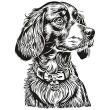 Spaniel English Cocker Dog Pet Sketch Illustration, Black And White Engraving Vector Realistic Breed Pet