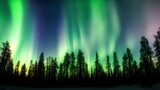 Fototapeta Tęcza - Silhouette of Trees Near Aurora Borealis at Night