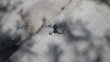  Shadow Of Drone Flying. Quadcopter Shadow Low Flying On Asphalt Ground. 