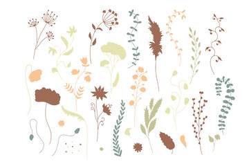 Wall Mural - Hand drawn abstract wild flowers illustrations set isolated on white background. Minimalist floral silhouettes, muted earthy colors.