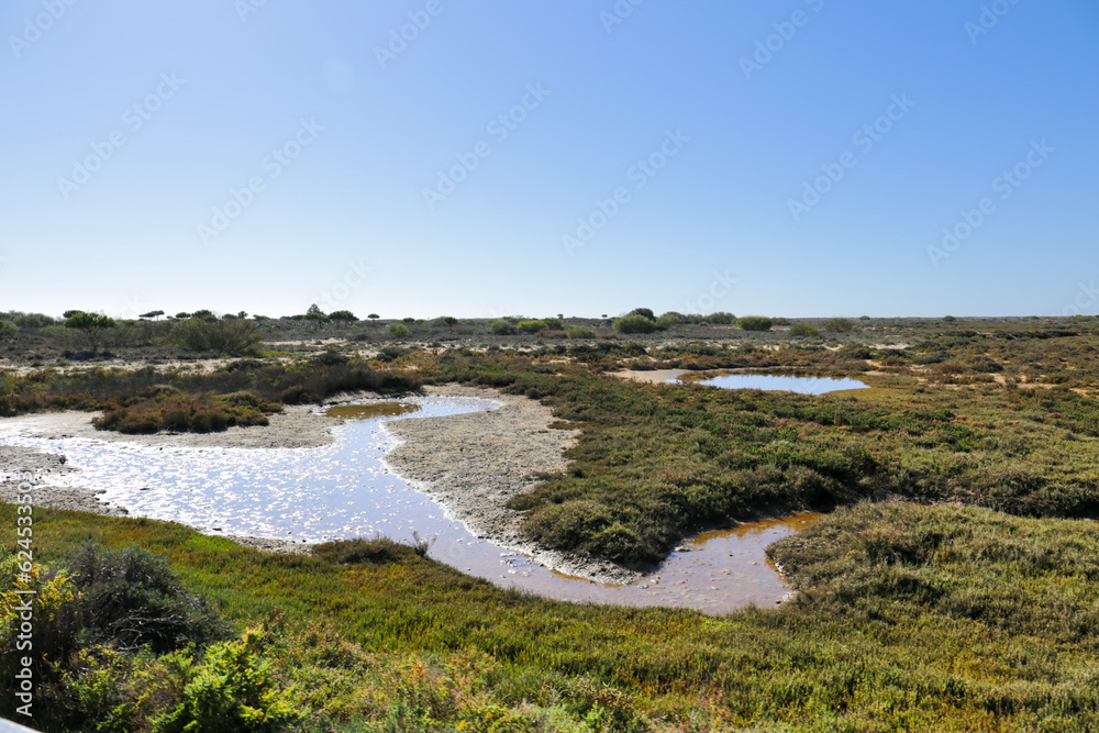 The swamp and wetlands in Tavira, Portugal