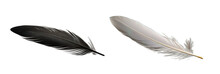 Black Feather And White Feather Over Isolated Transparent Background