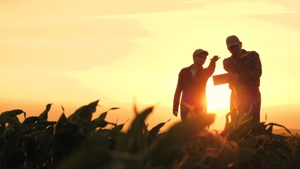 silhouette two farmers work tablet sunset, farming teamwork group people contract handshake agreemen
