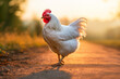 Chicken crossing a country road at sunset, Generative AI