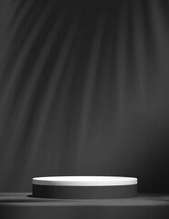 Wall Mural - Product podium mockup display with black and white background with tree shadow,summer background,3D render illustration